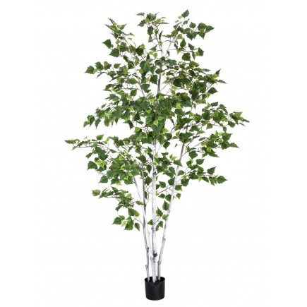 EUROPALMS Birch Tree, artificial plant, 210cm